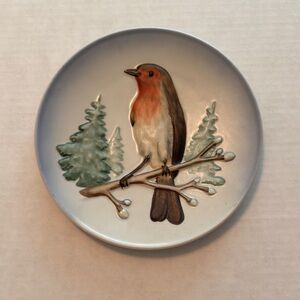 W. Goebel Robin plate